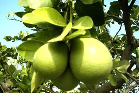 九游电竞官网案例展示七