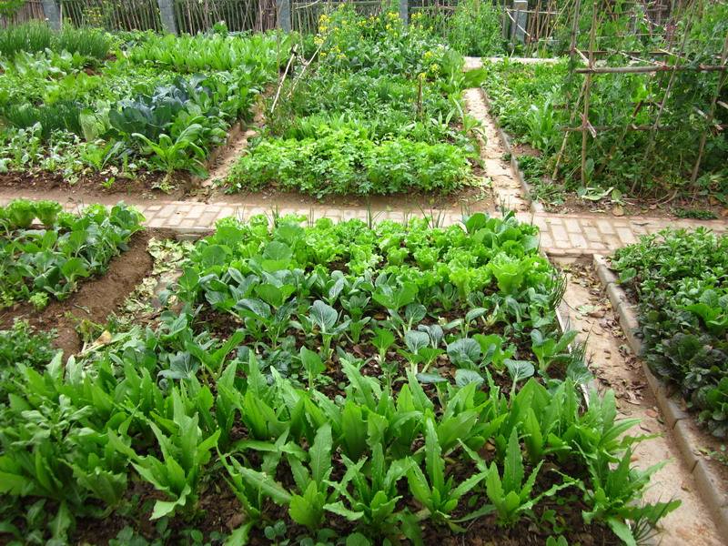 九游电竞官网案例展示五