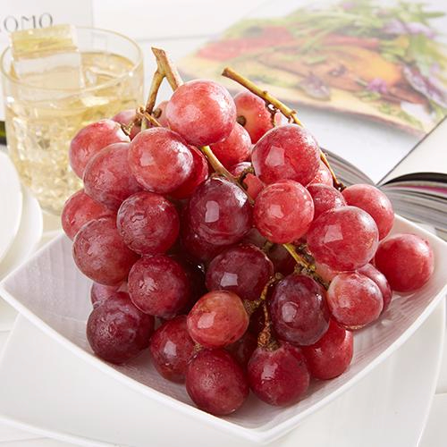 九游电竞官网产品名称八